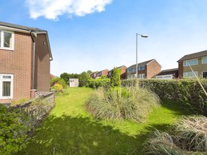 Side Garden- click for photo gallery